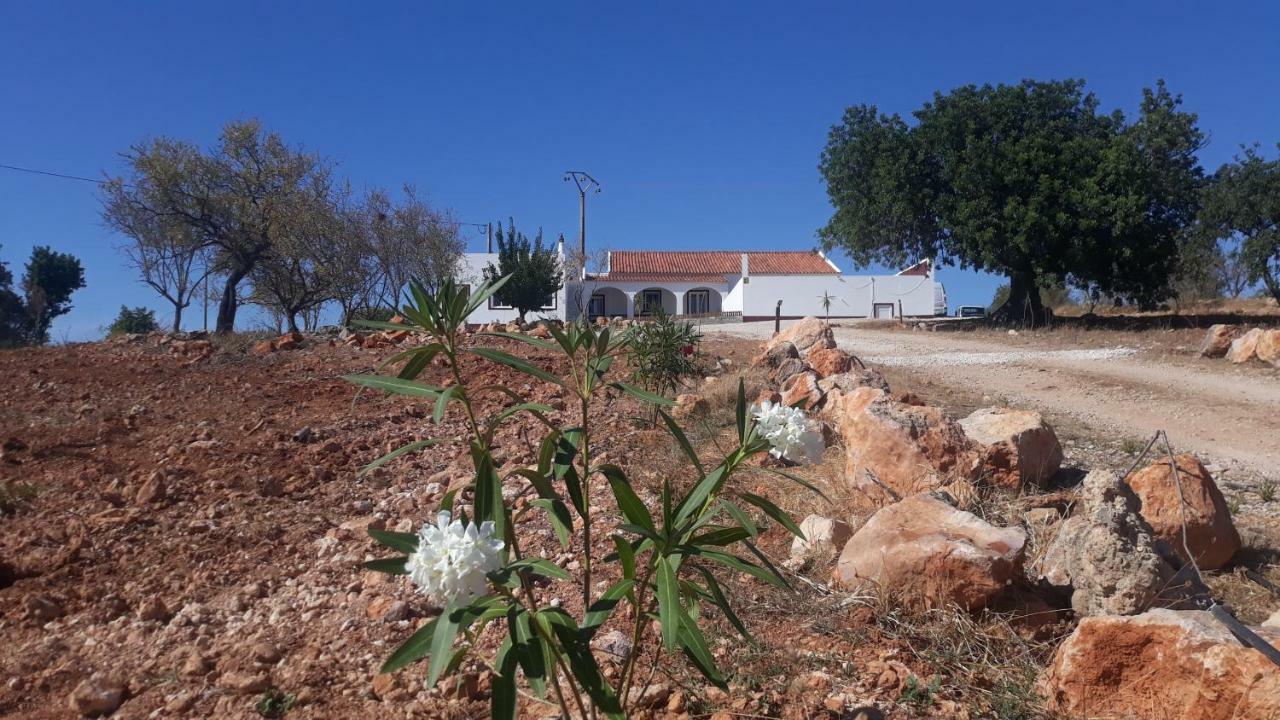 Quinta Catarina Villa Albufeira Eksteriør billede
